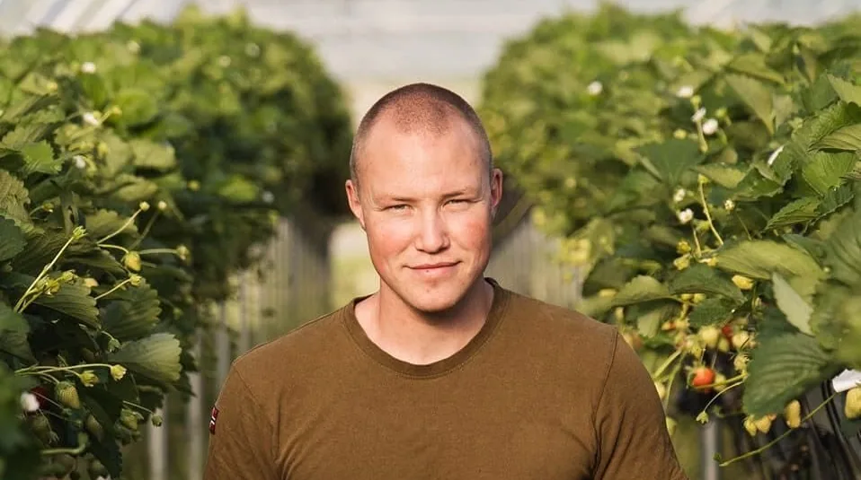 Eirik Bonden i jordbærtunnelen, mellom rader med jordbærplanter og modne bær
