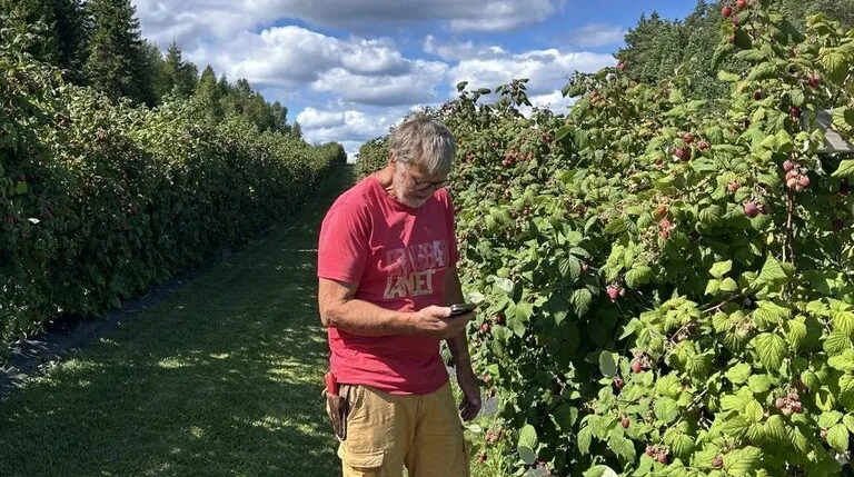 Roy Andersen fra Bringebærlandet